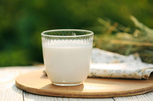 تصویر 1 از فروش دوغ با ماست + قیمت خرید به صرفه